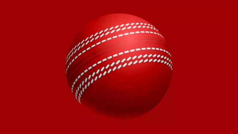Cricket Ball Image