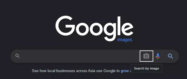 Image showing reverse image search on google images