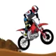Image showing a bike jumping